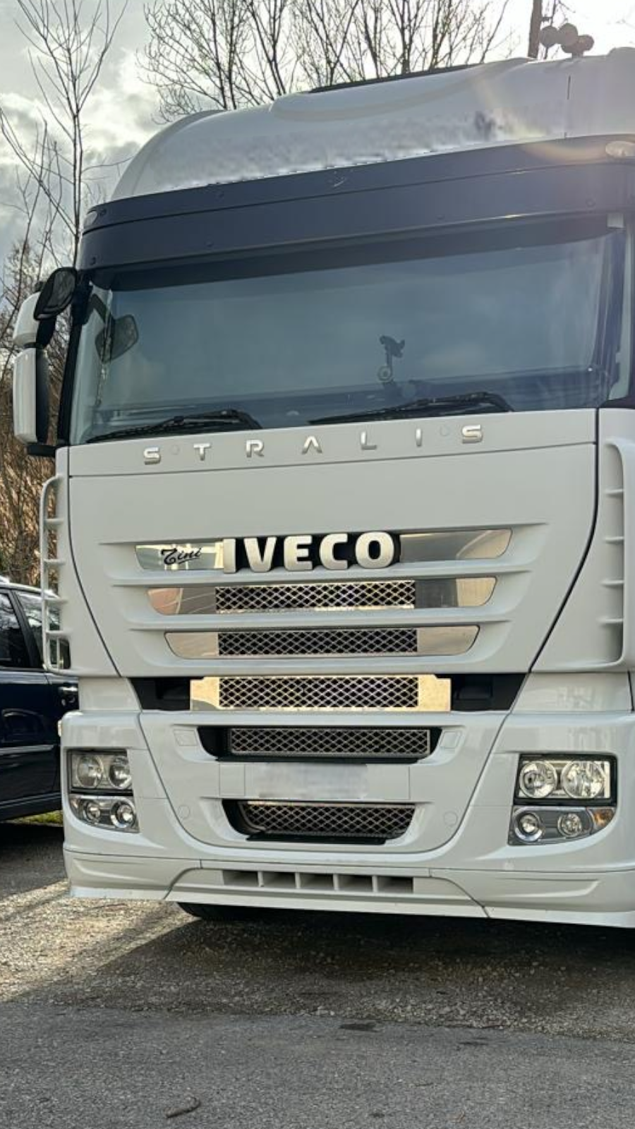 Griglia IVECO STRALIS 500